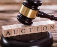 The du Maurier Fowey Literary Festival Online Fundraising Auction  22nd November to 1st December 2024  which lots would you like to bid on?